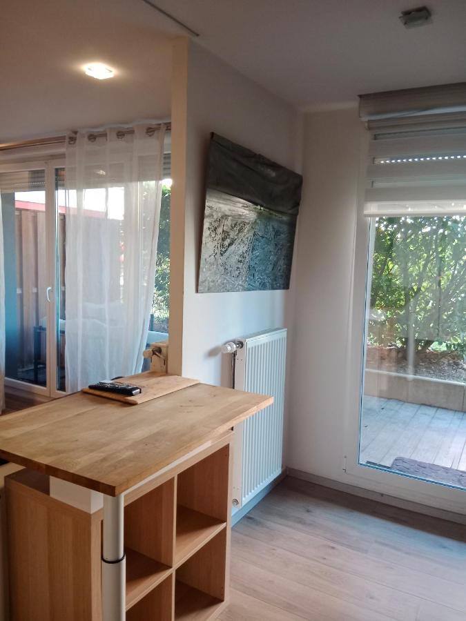 Tres Bel Appartement Rez De Jardin Appart De 53M2. Pfastatt Ngoại thất bức ảnh